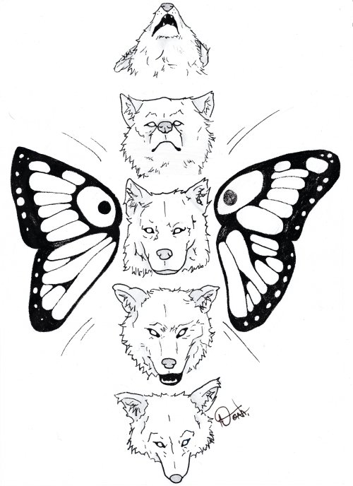 Wolfs and butterfly - Ulve og Sommerfugle